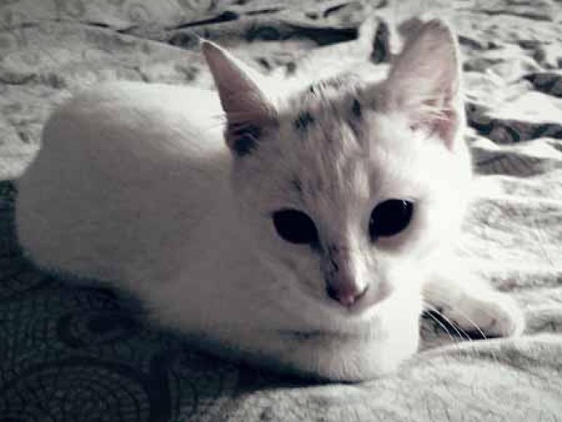 Casper
