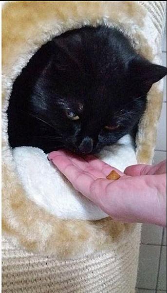 Blackie