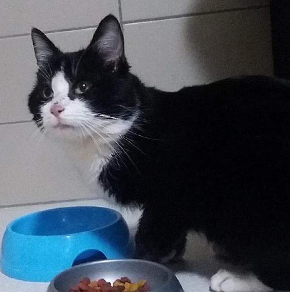 Tux