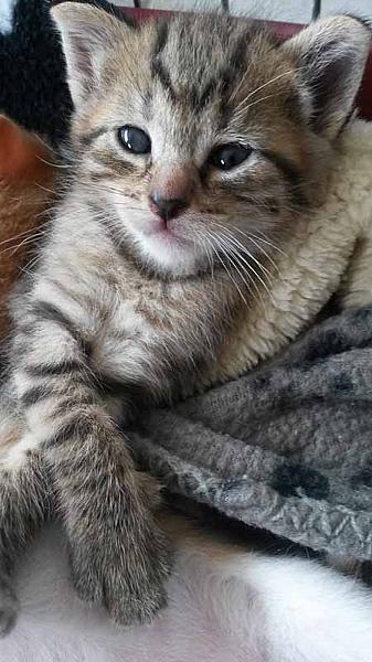 Rocky