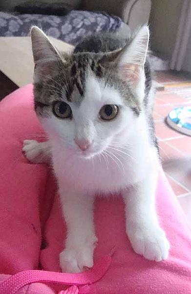 Mirthe