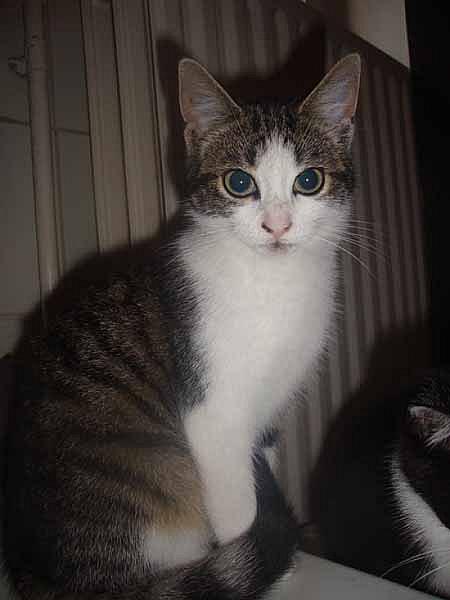 Penny