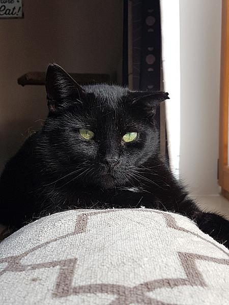 Tom