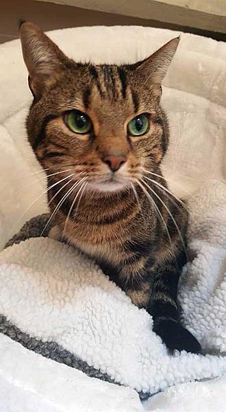 Tijn