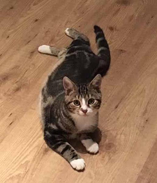 Sam