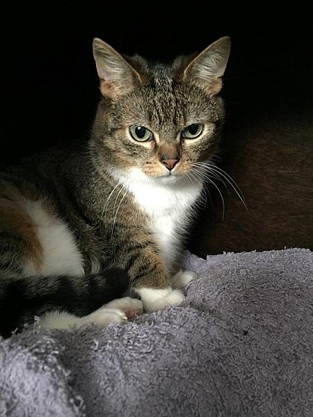 Kiki