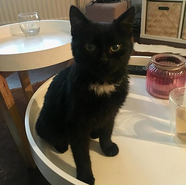 Milo