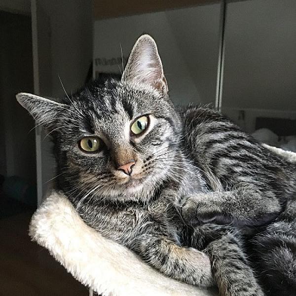 Lenny