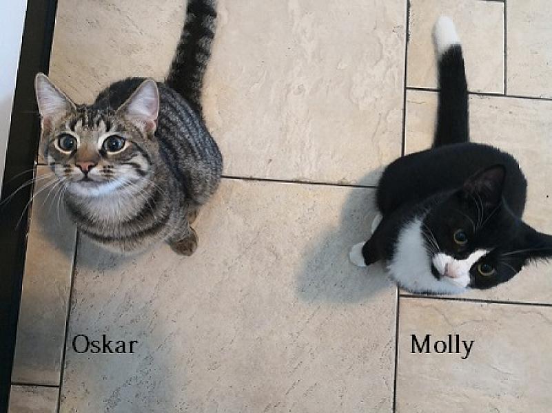 Molly