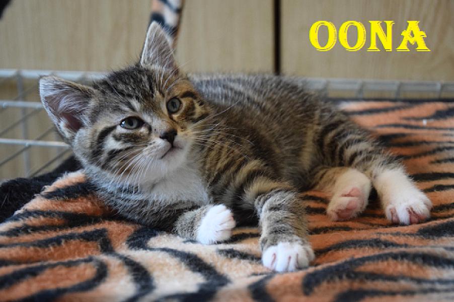 Oona