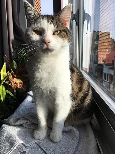 Frida