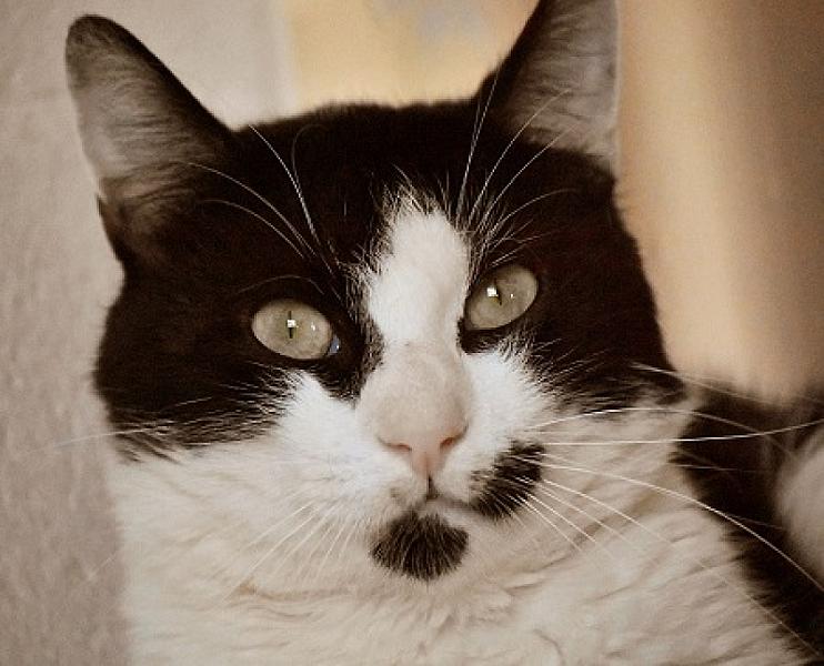 Tim