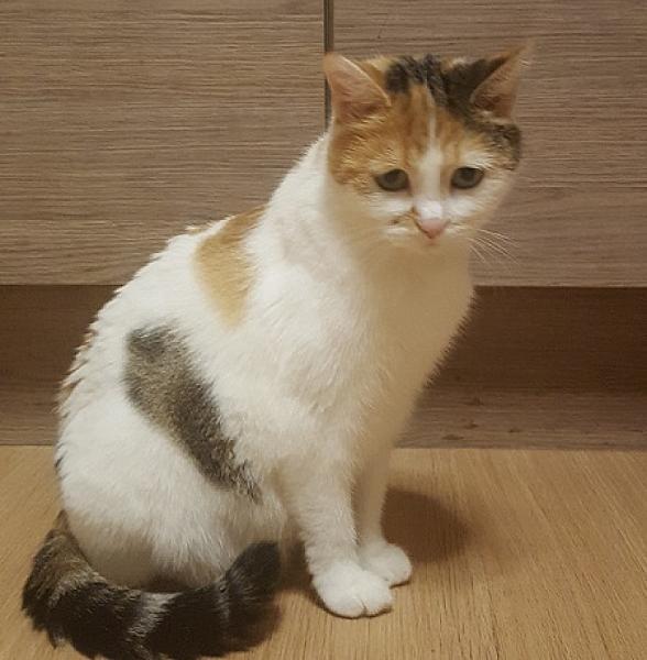 Freya