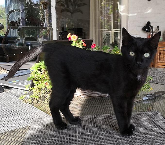 Bob