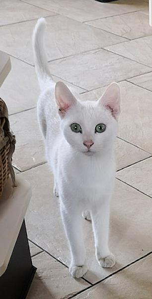 Max