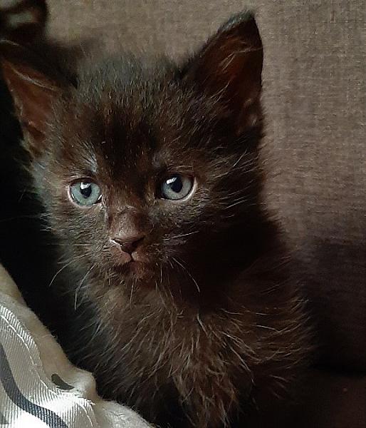 Salem