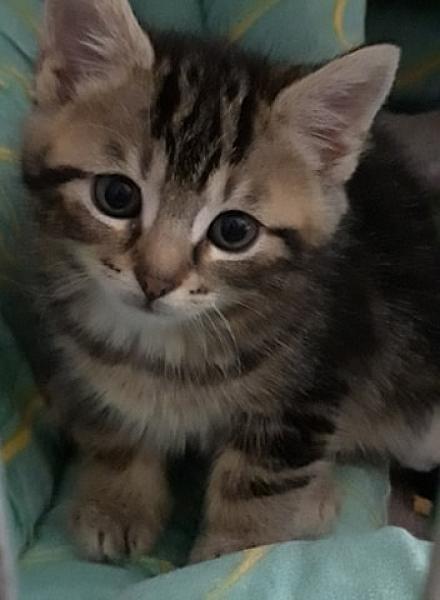 Charlie