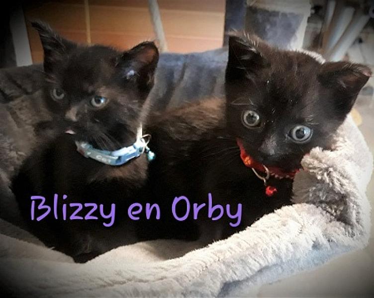 Orby