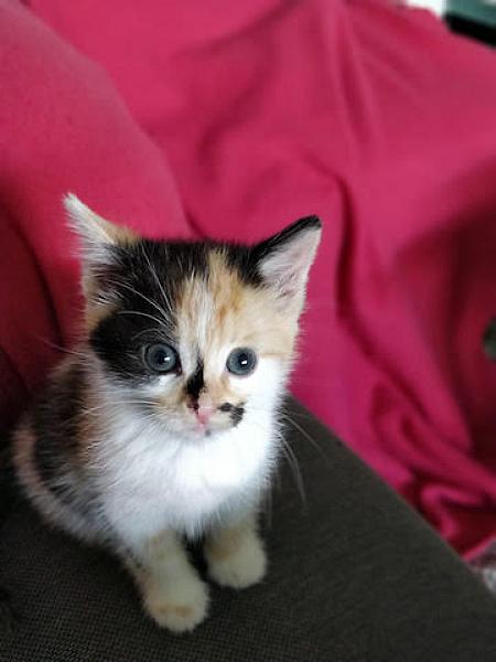 Zita