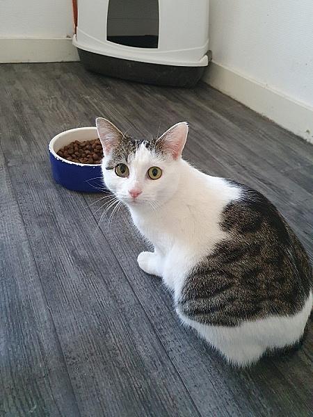 Lila