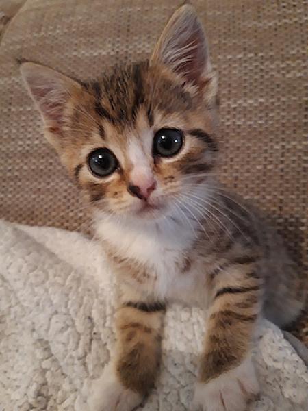 Oona