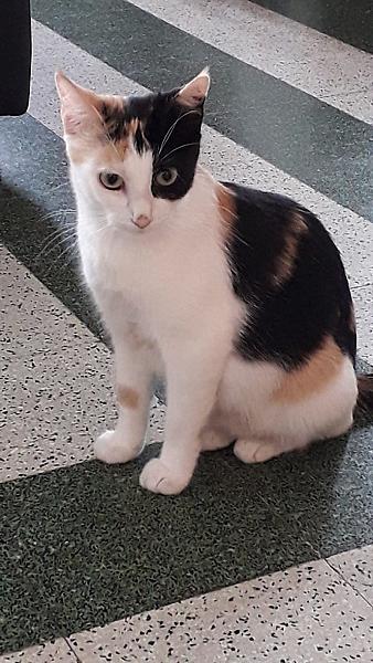 Minnie