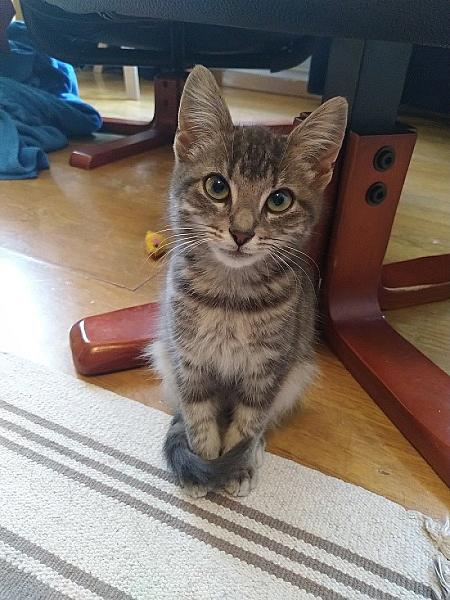 Coco