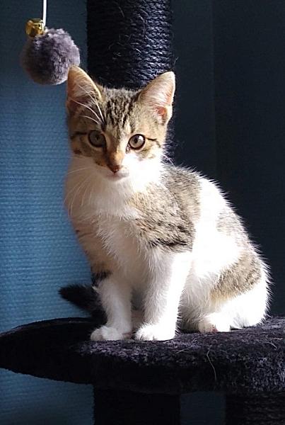 Kiara