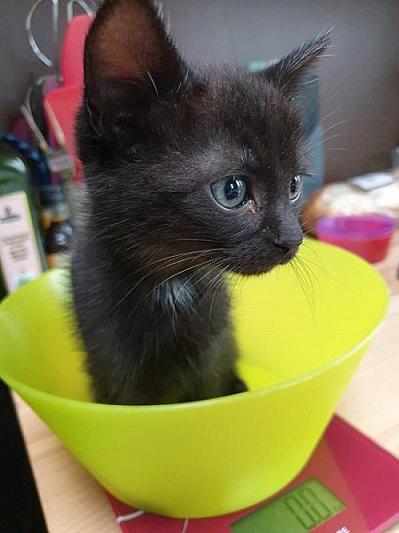 Binky