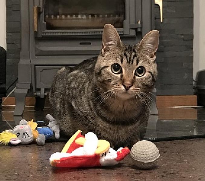 Sarah
