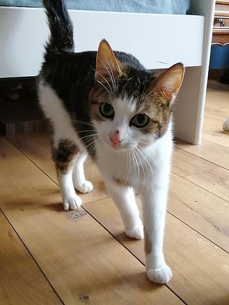 Lila