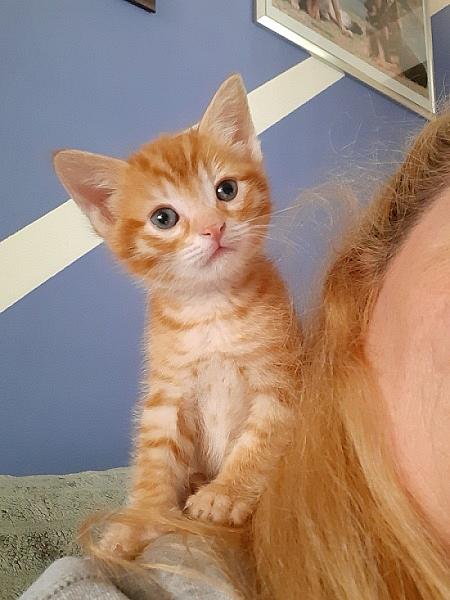 Flynn