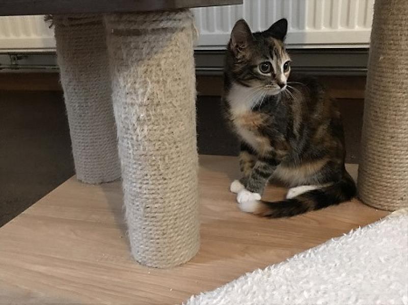 Sabine