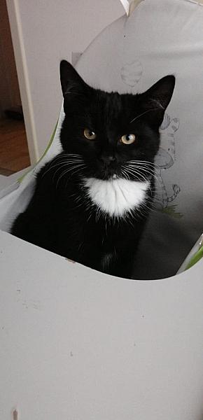 Tina