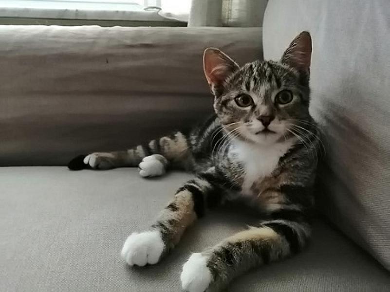 Tony