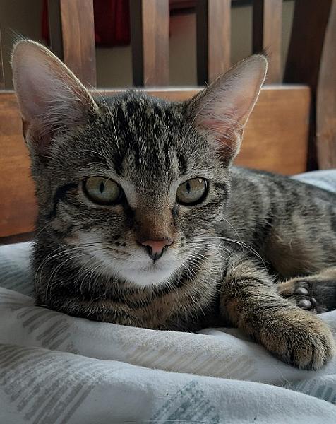 Sally