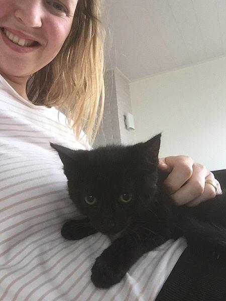 Bagheera