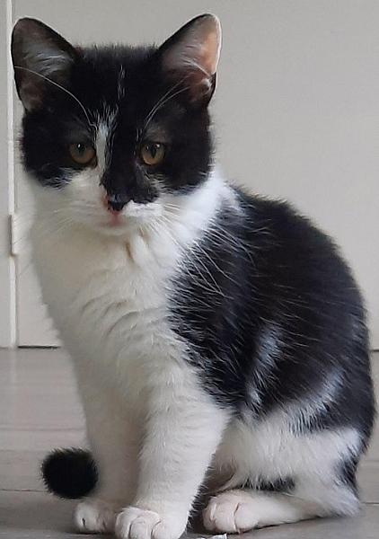 Shiloh