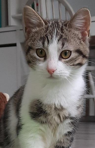 Arlo