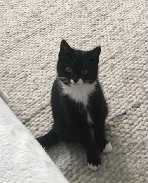Billy
