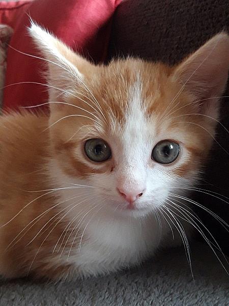 Rusty