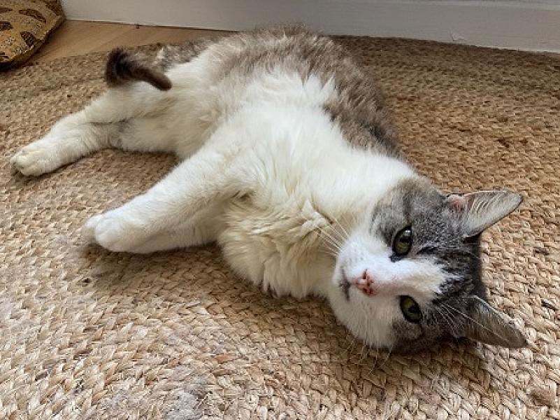Ella