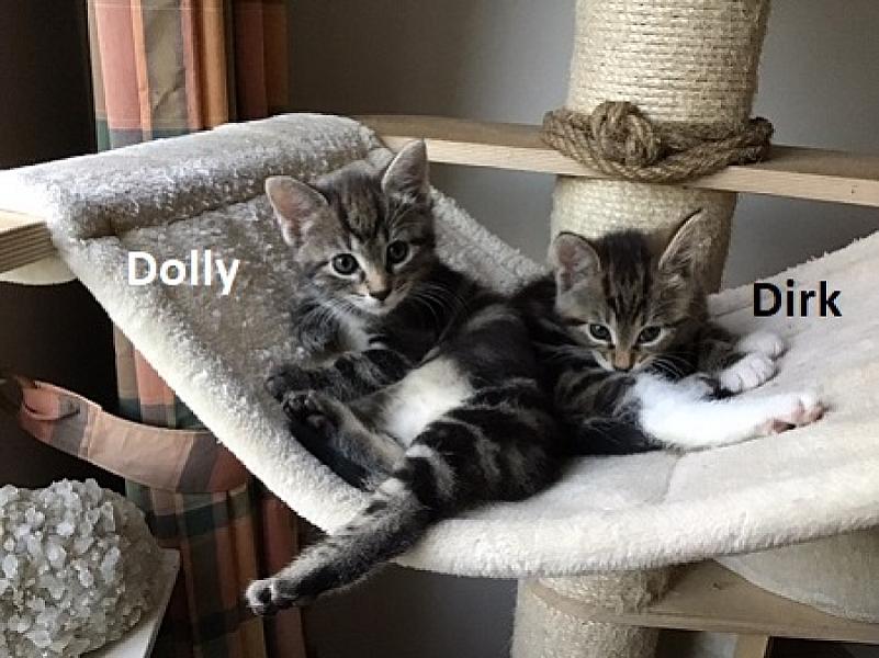 Dolly