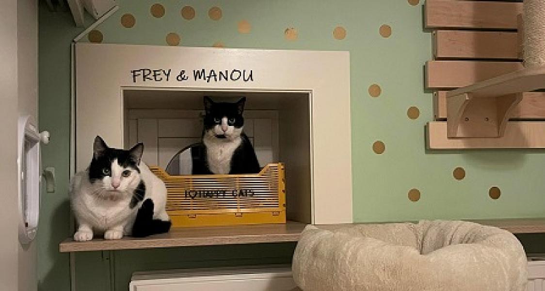 Frey