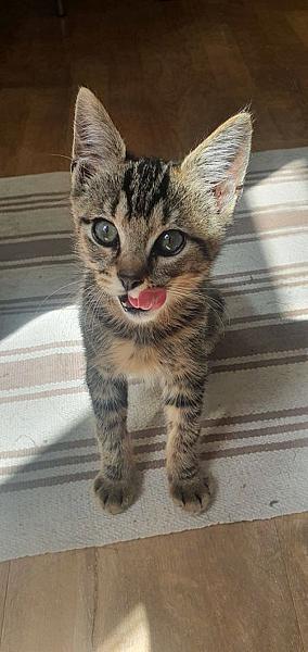 Manu