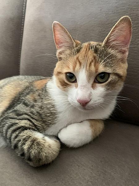 Kahlo