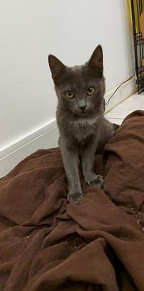 Tom