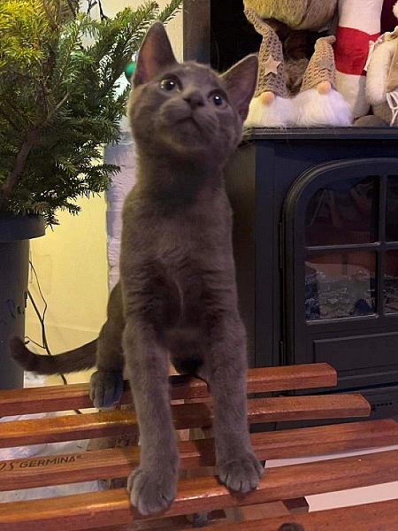 Lenny