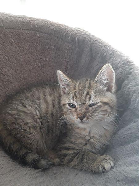 Tilly