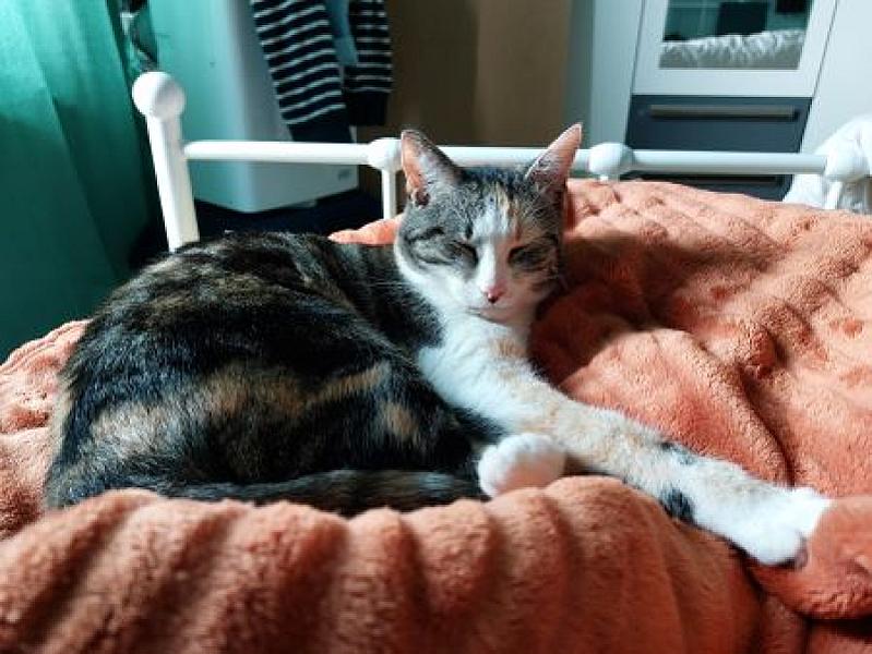 Kiki